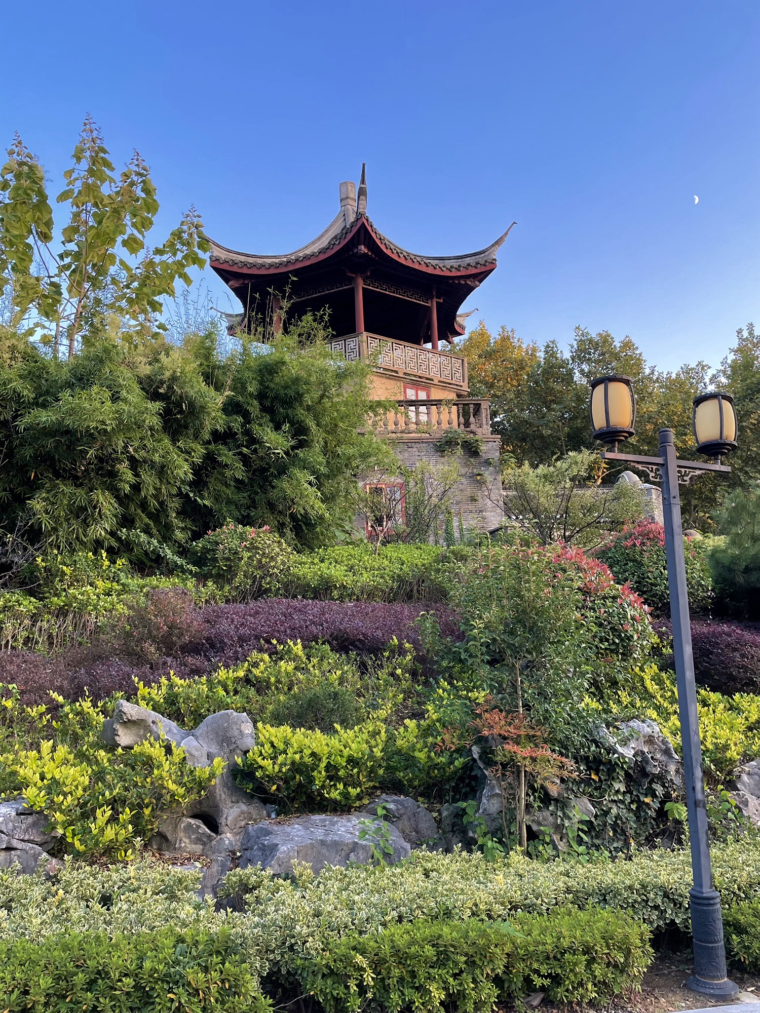 伯先公园旅行图片 2