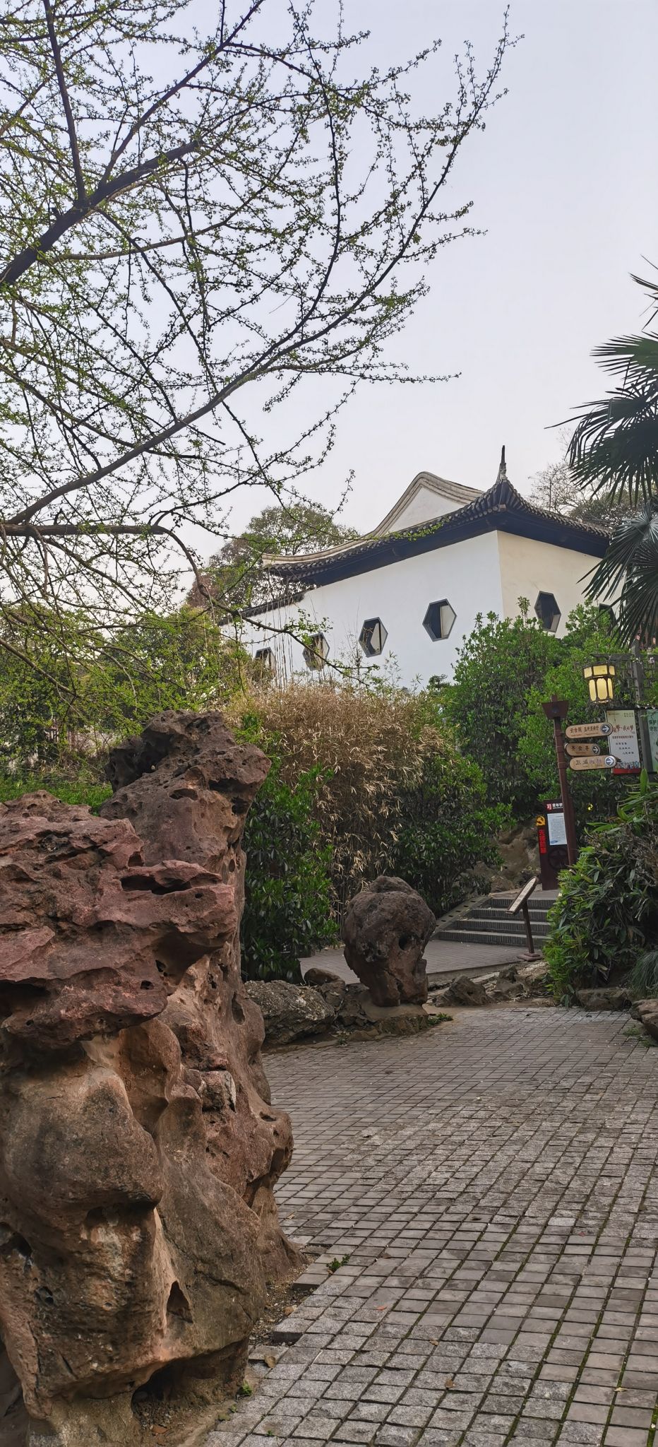 伯先公园旅行图片 3