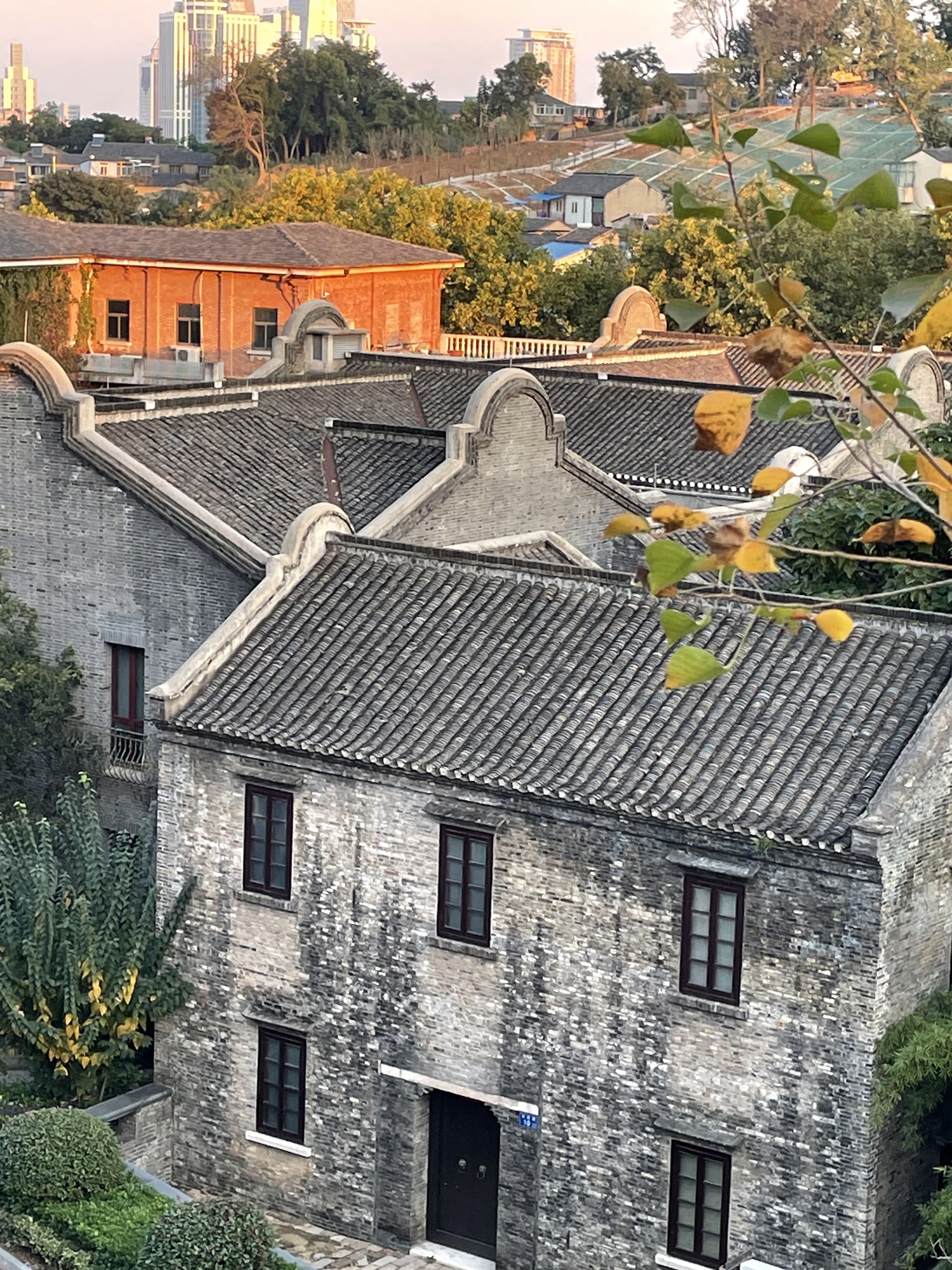 伯先公园旅行图片 1