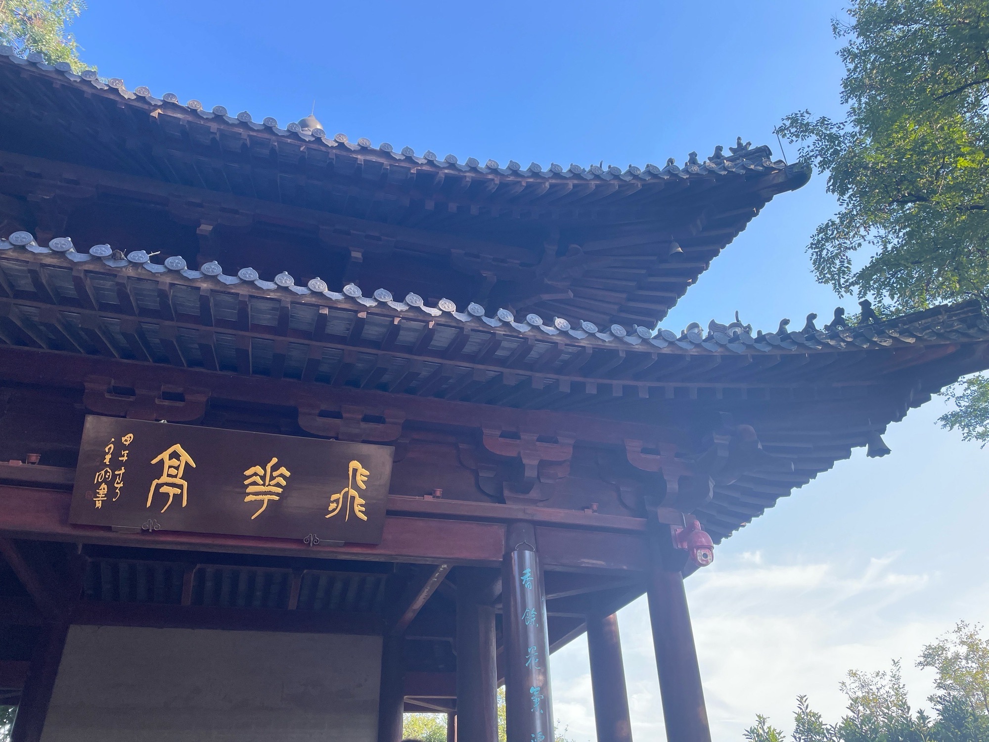 伯先公园旅行图片 1