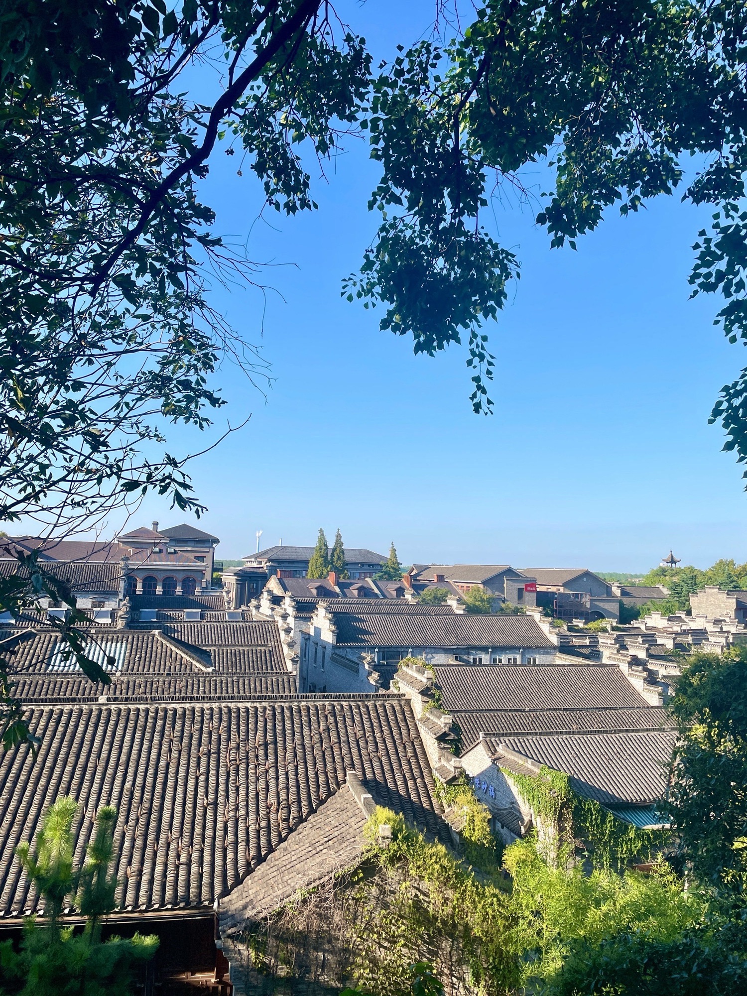 伯先公园旅行图片 2