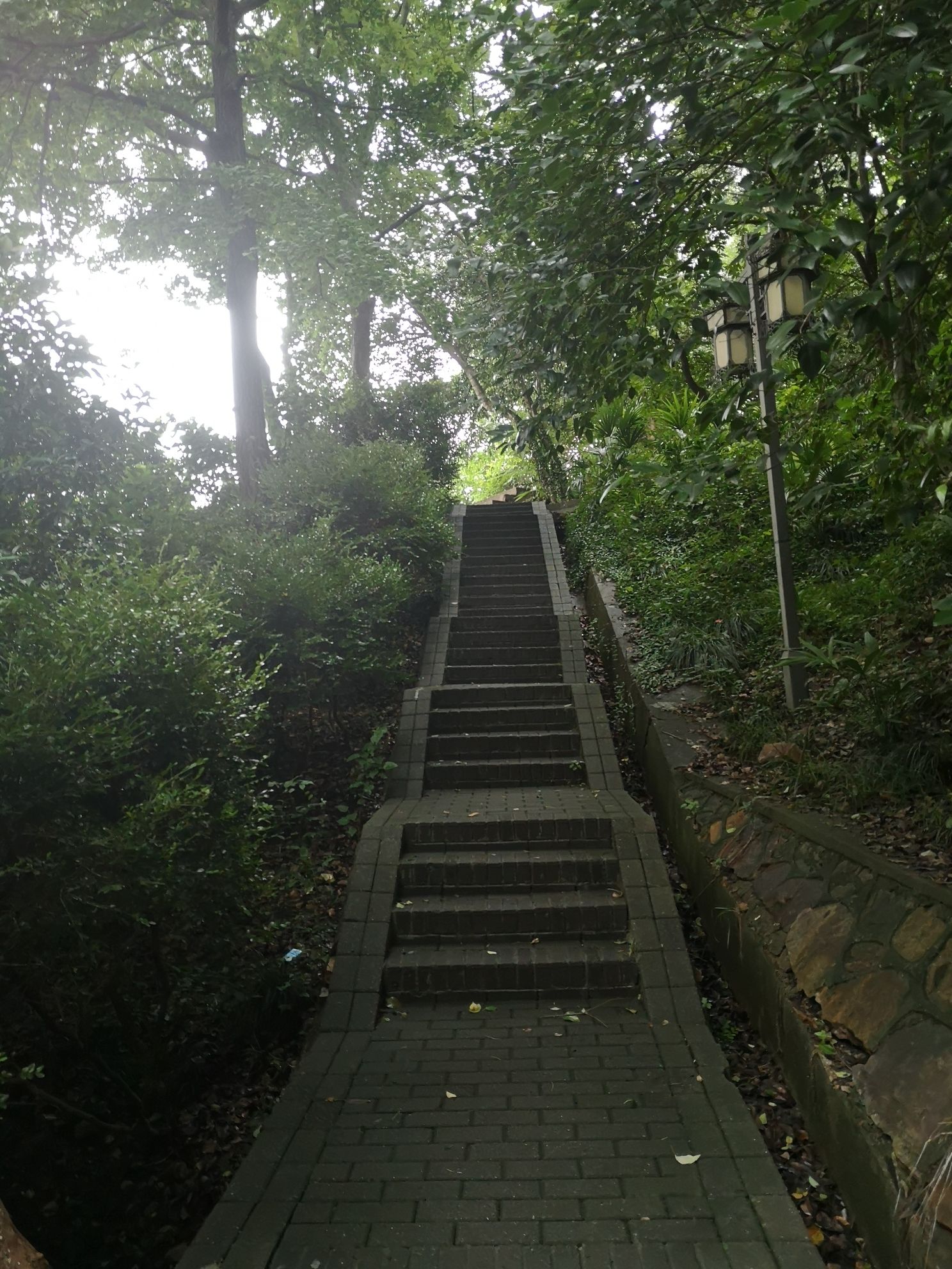 伯先公园旅行图片 3