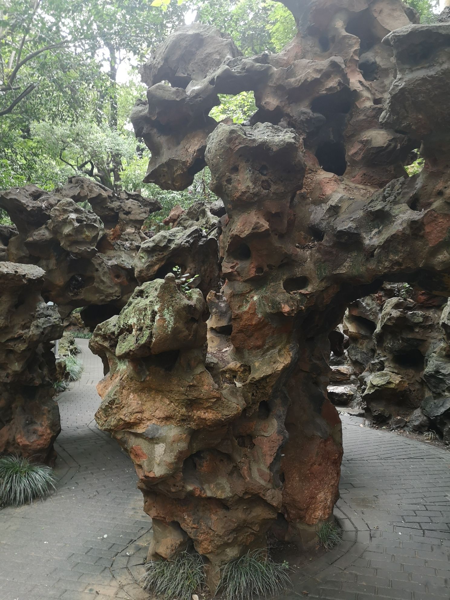 伯先公园旅行图片 1