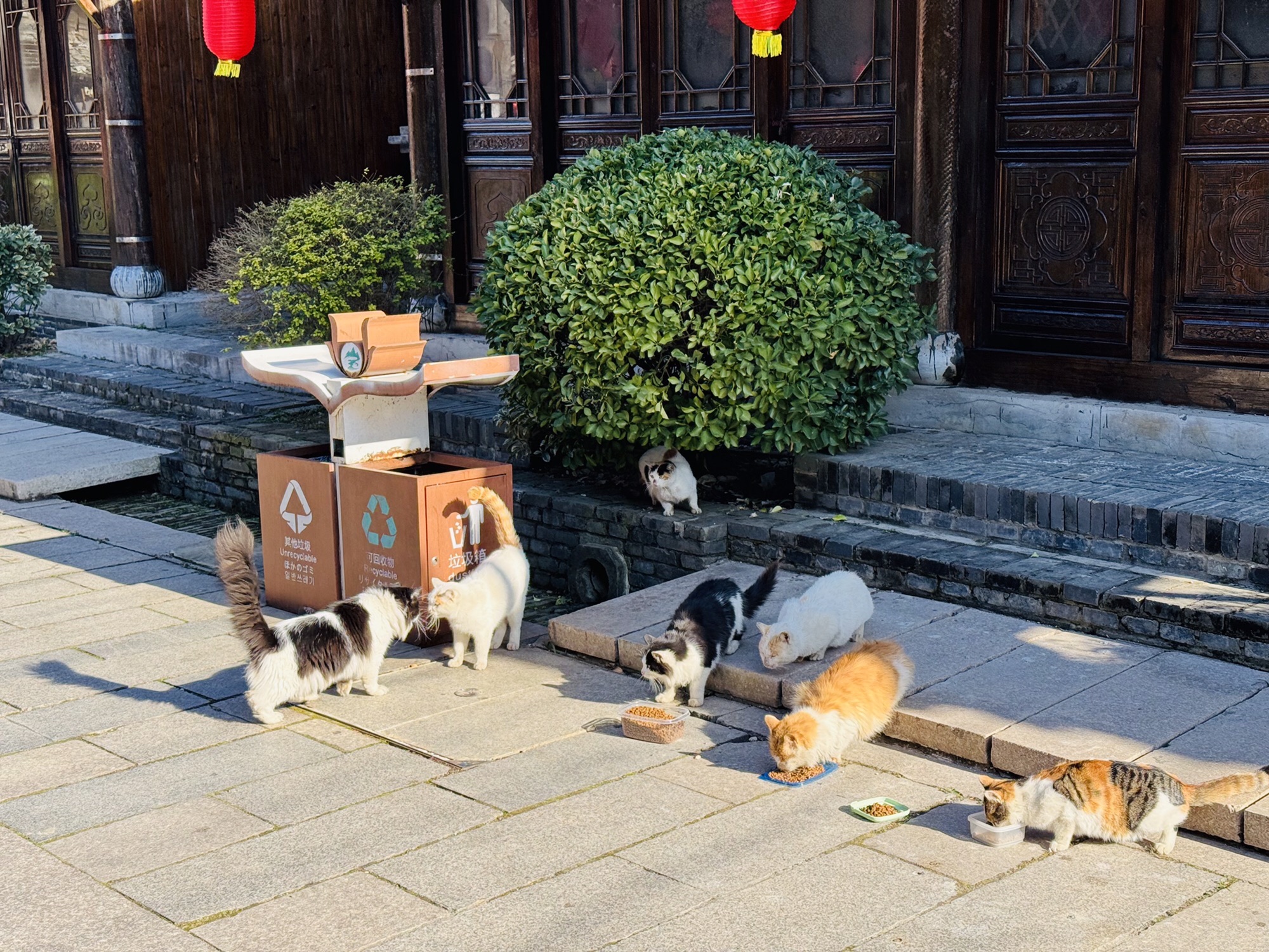 宝华山国家森林公园旅行图片 3