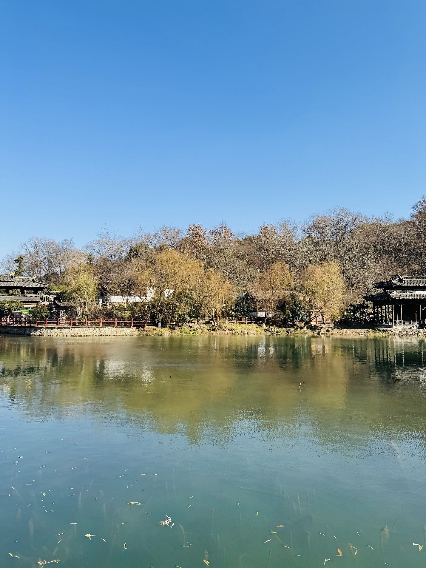 宝华山国家森林公园旅行图片 3