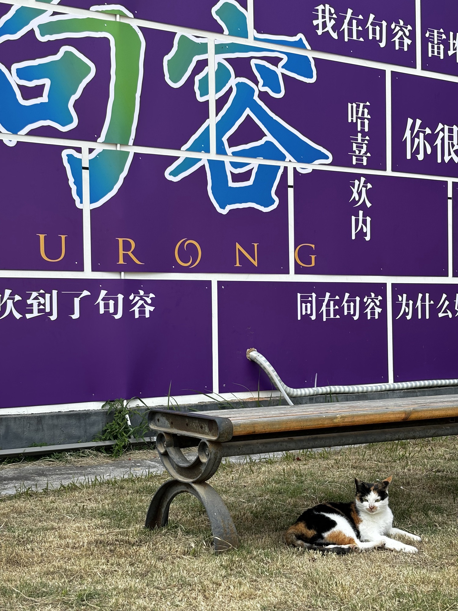 葛仙湖公园旅行图片 2