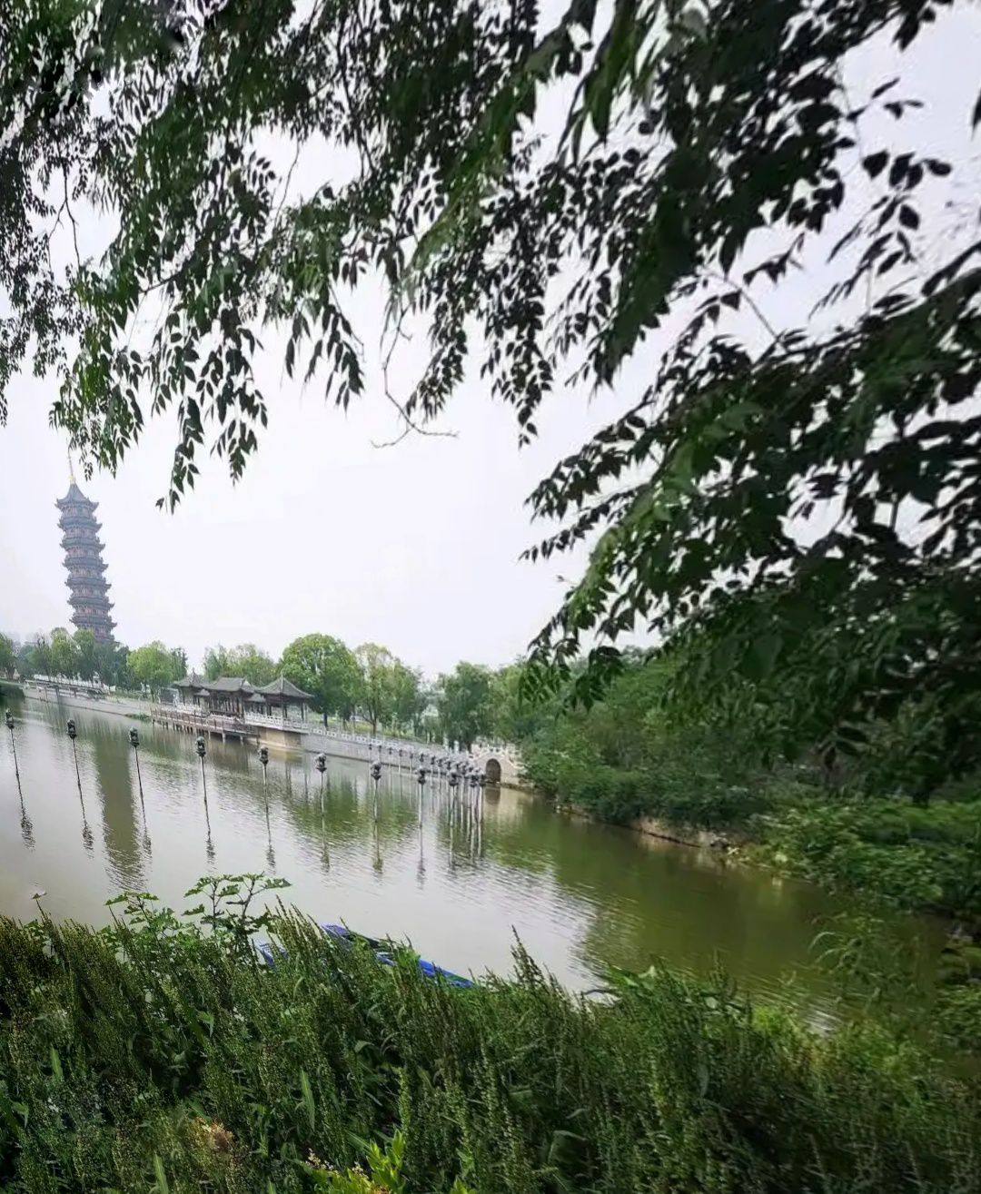 葛仙湖公园旅行图片 1