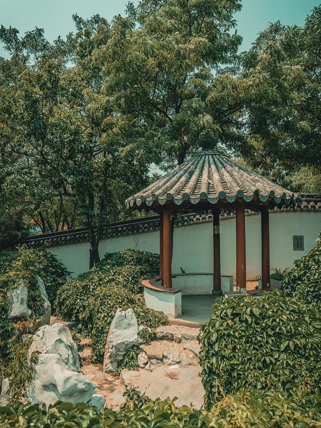 河滨公园旅行图片 1