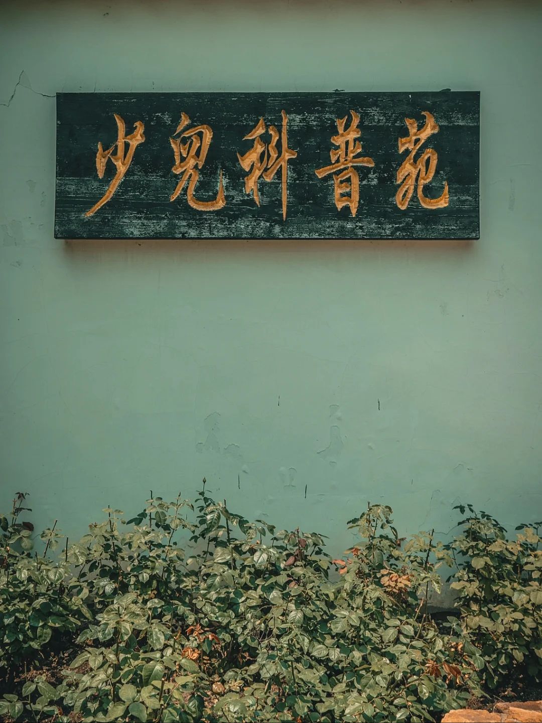 河滨公园旅行图片 3