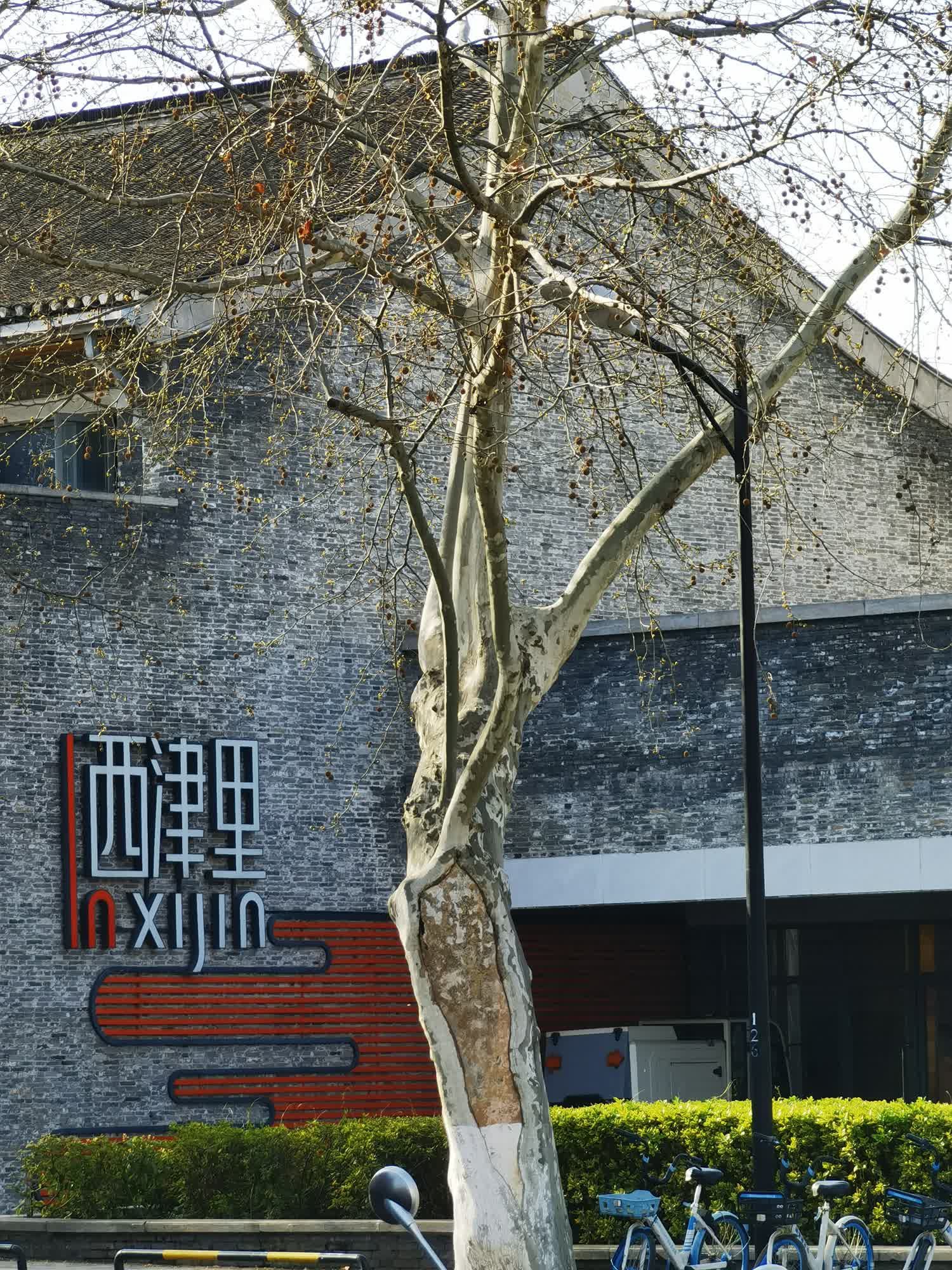 西津渡古街旅行图片 2