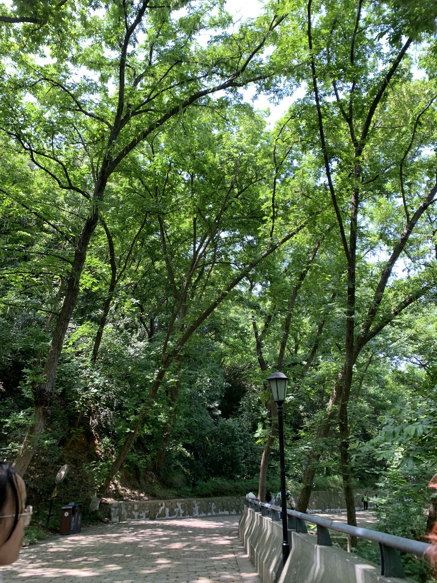 西津渡古街旅行图片 3