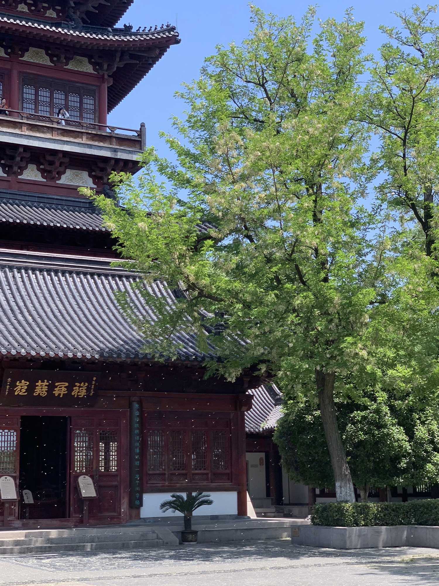 西津渡古街旅行图片 1