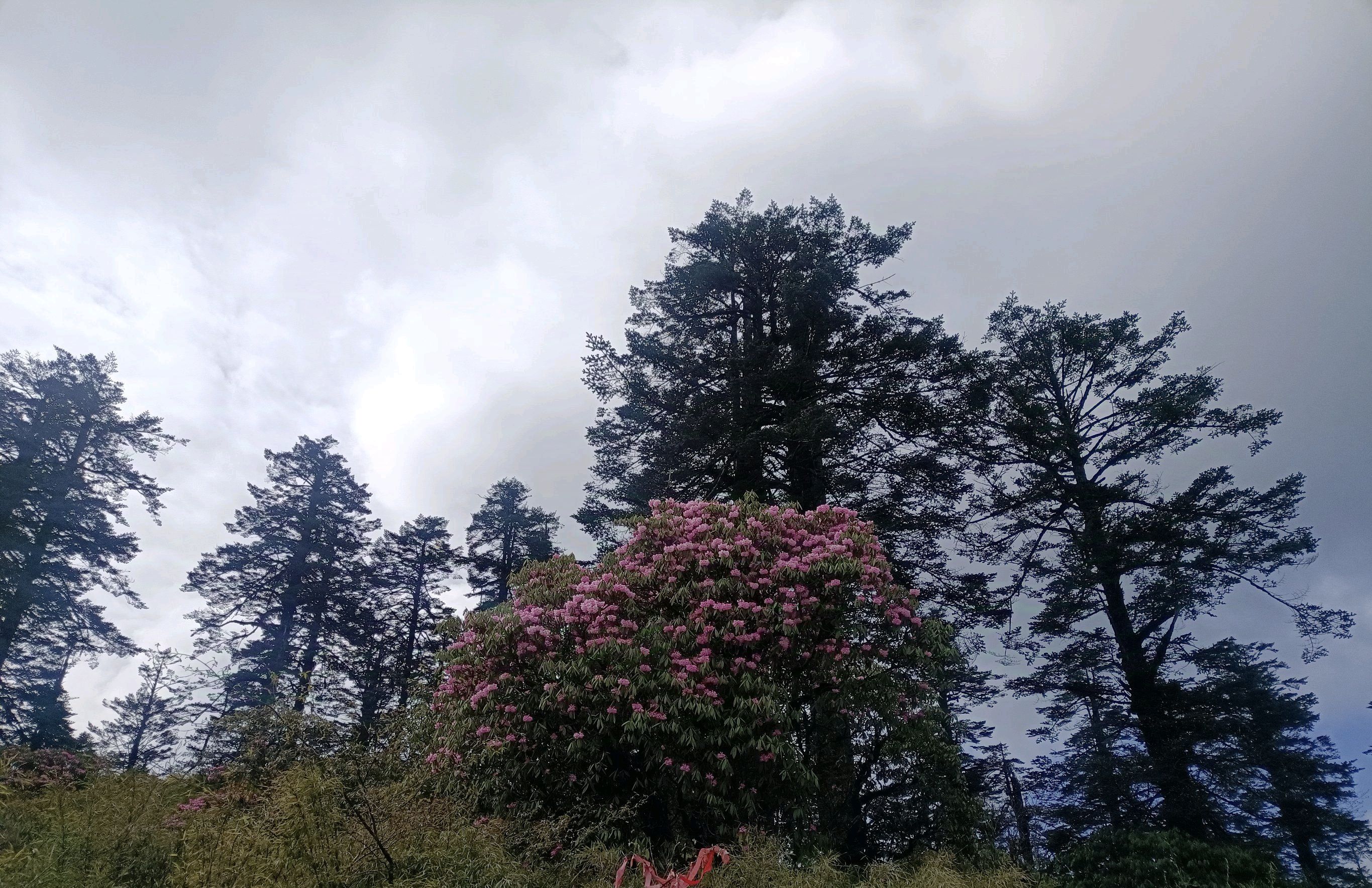 溧阳市瓦屋山圣境旅行图片 1