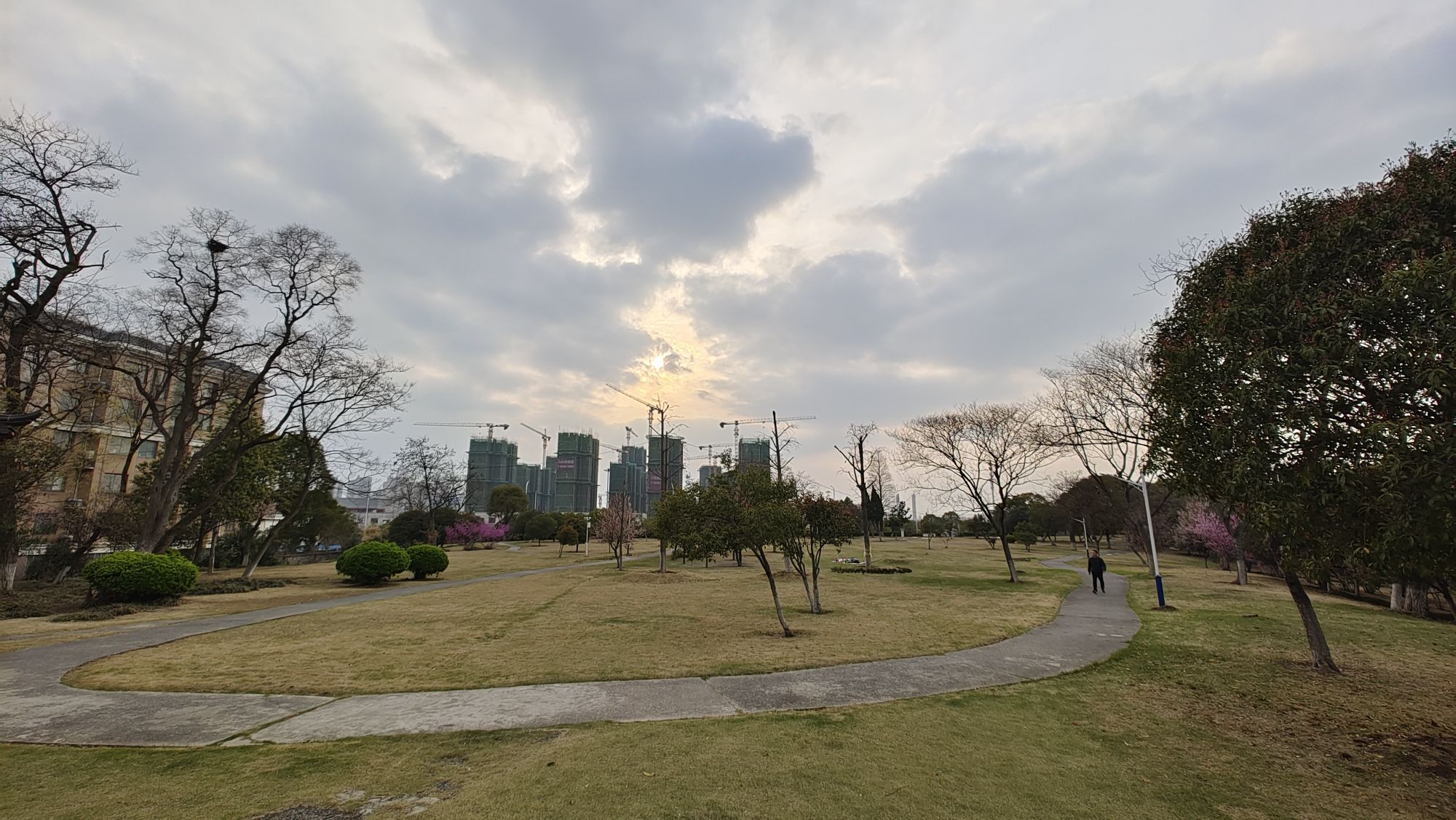 城头山遗址旅行图片 2