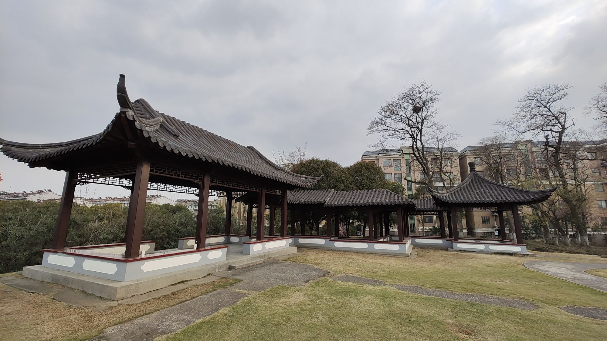 城头山遗址旅行图片 3