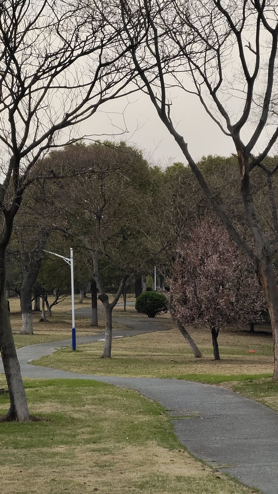 城头山遗址旅行图片 1