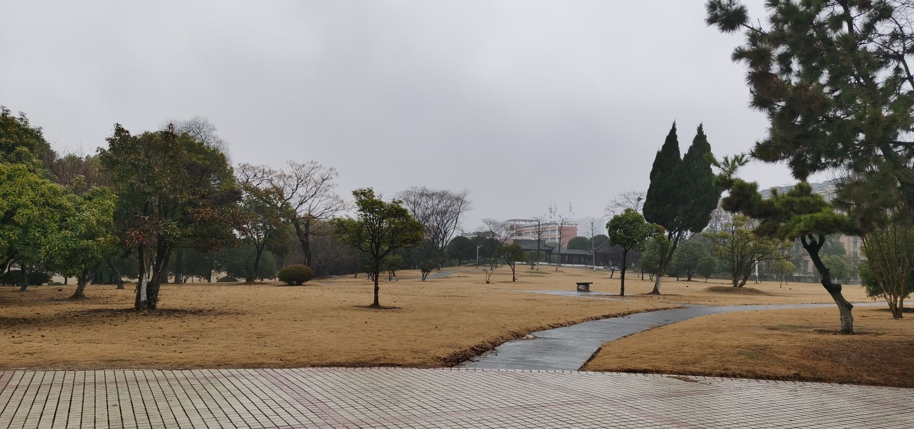 城头山遗址旅行图片 1