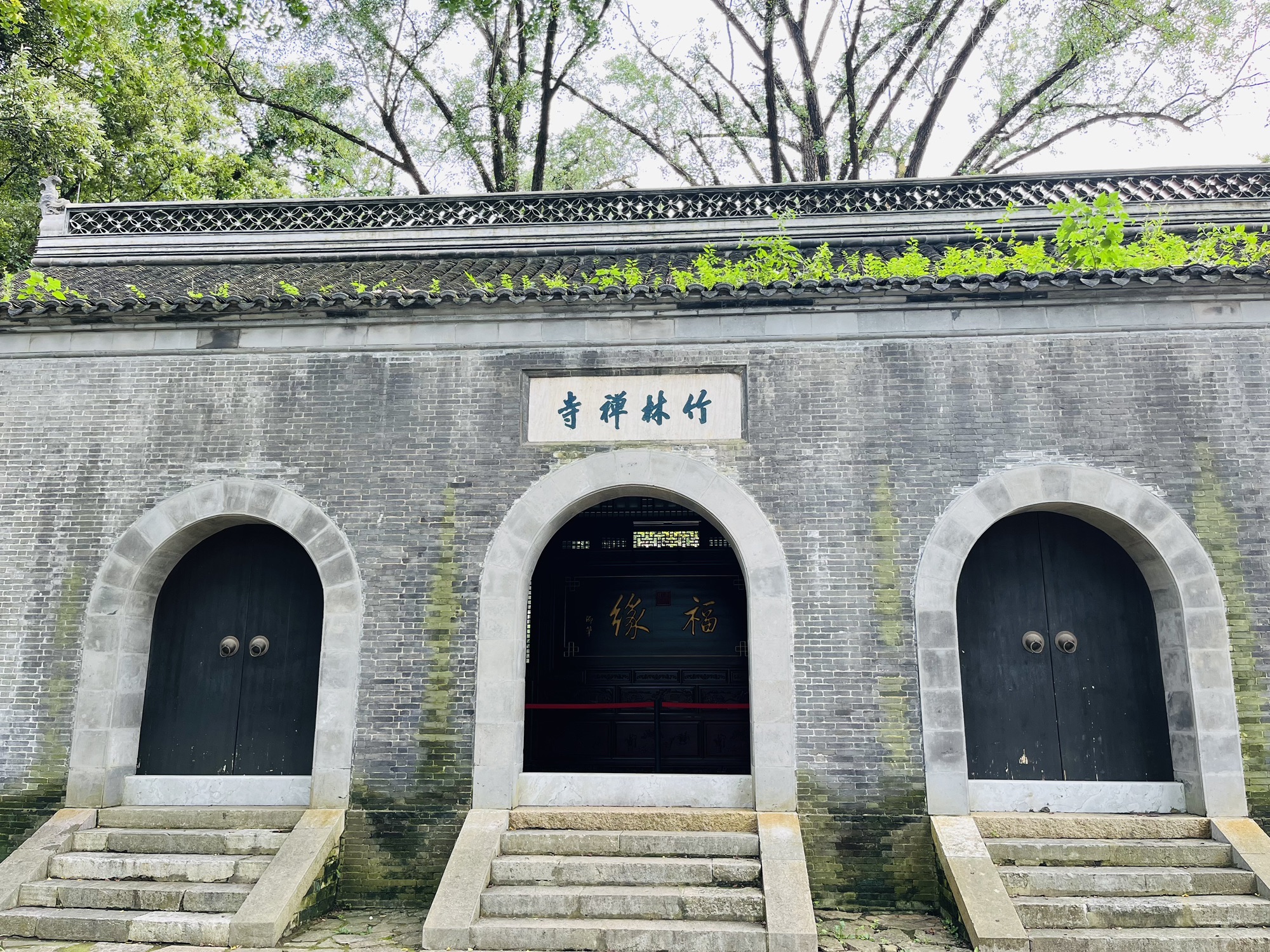 南山风景区竹林景区