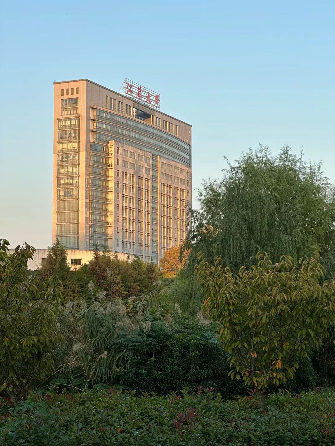 江苏大学