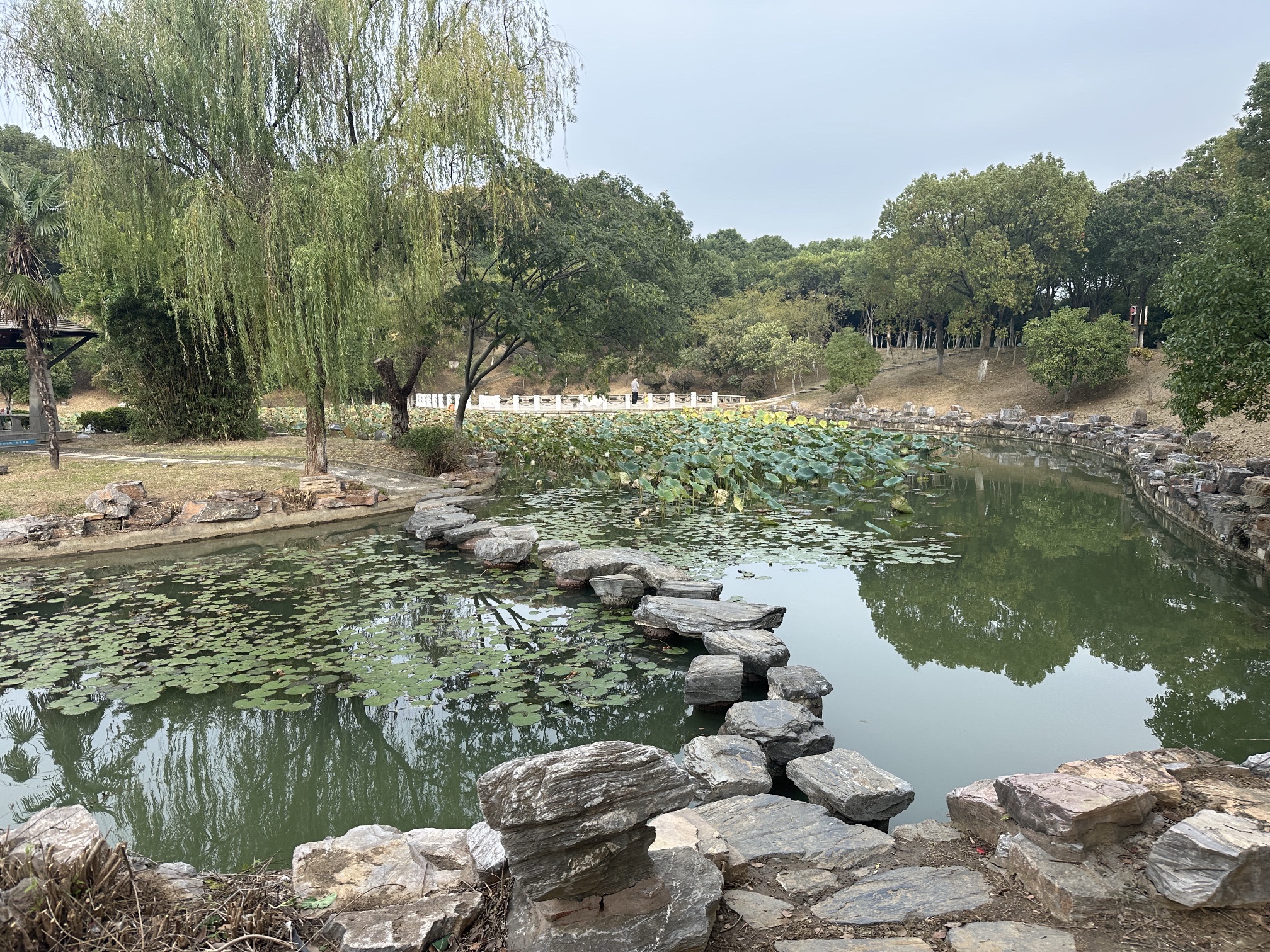 银山公园