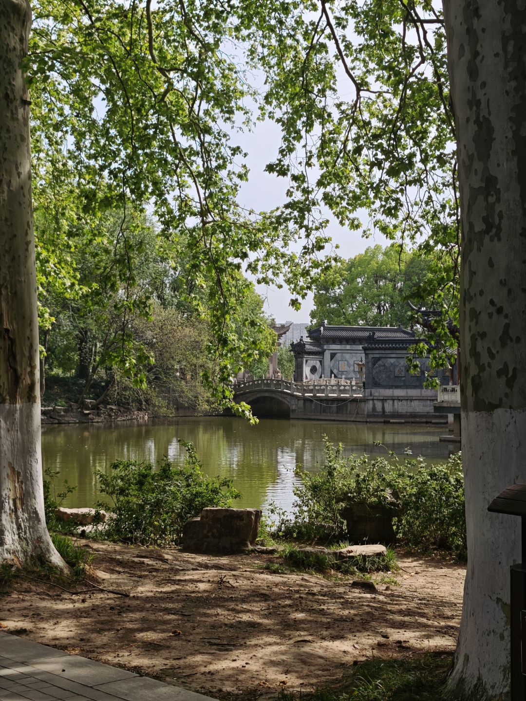焦山景区旅行图片 1