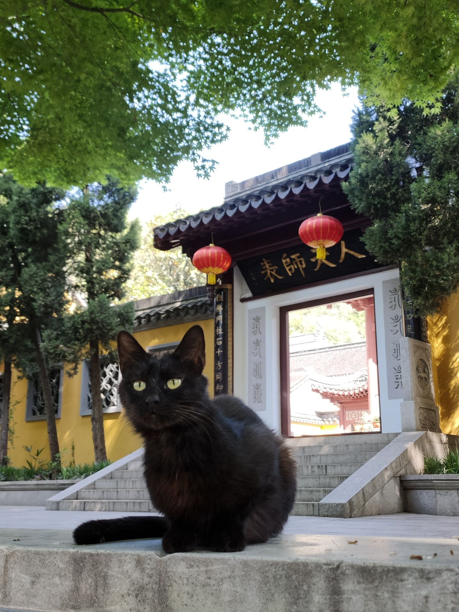 焦山景区旅行图片 3