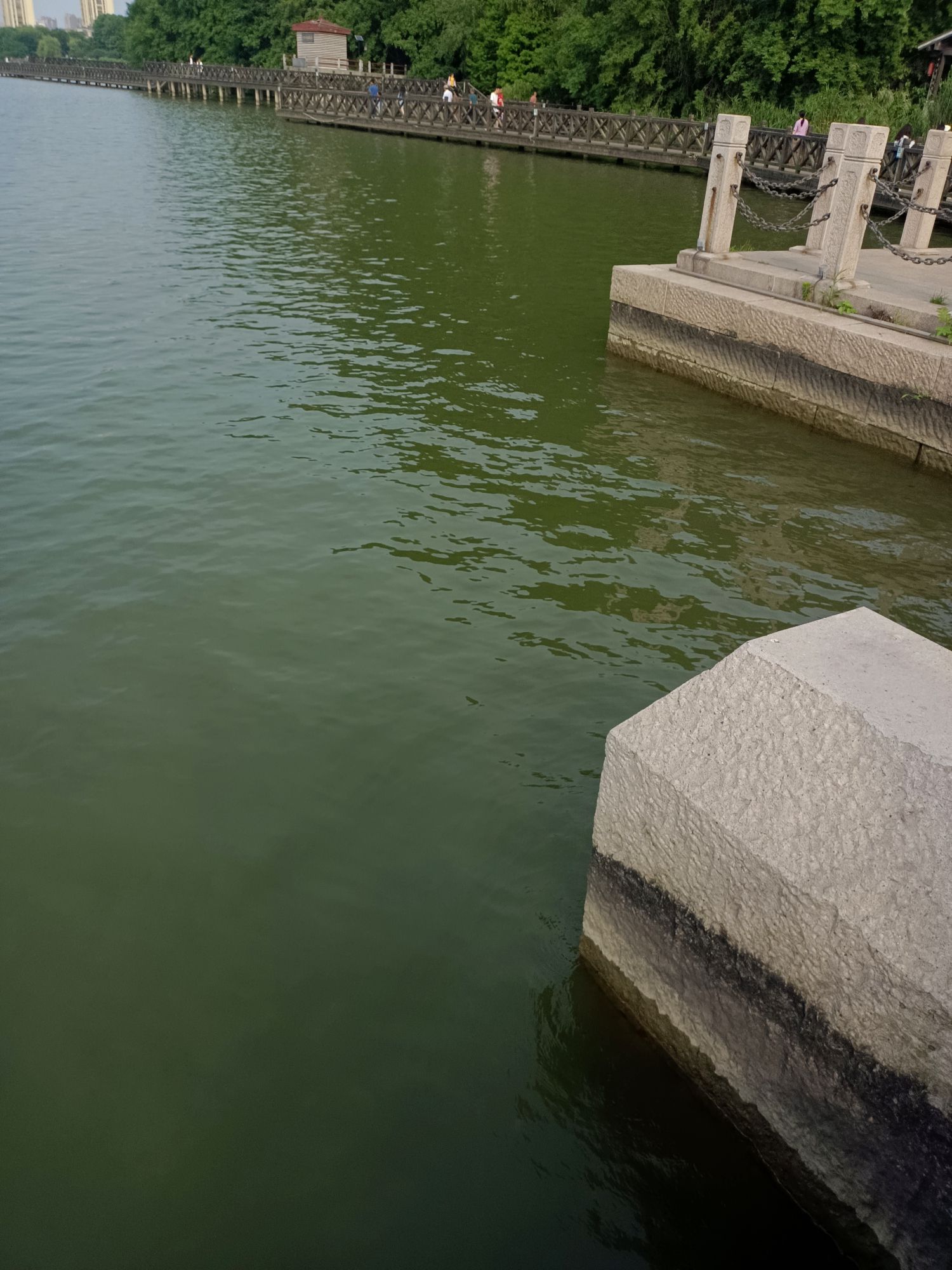 滨江公园音乐广场旅行图片 2