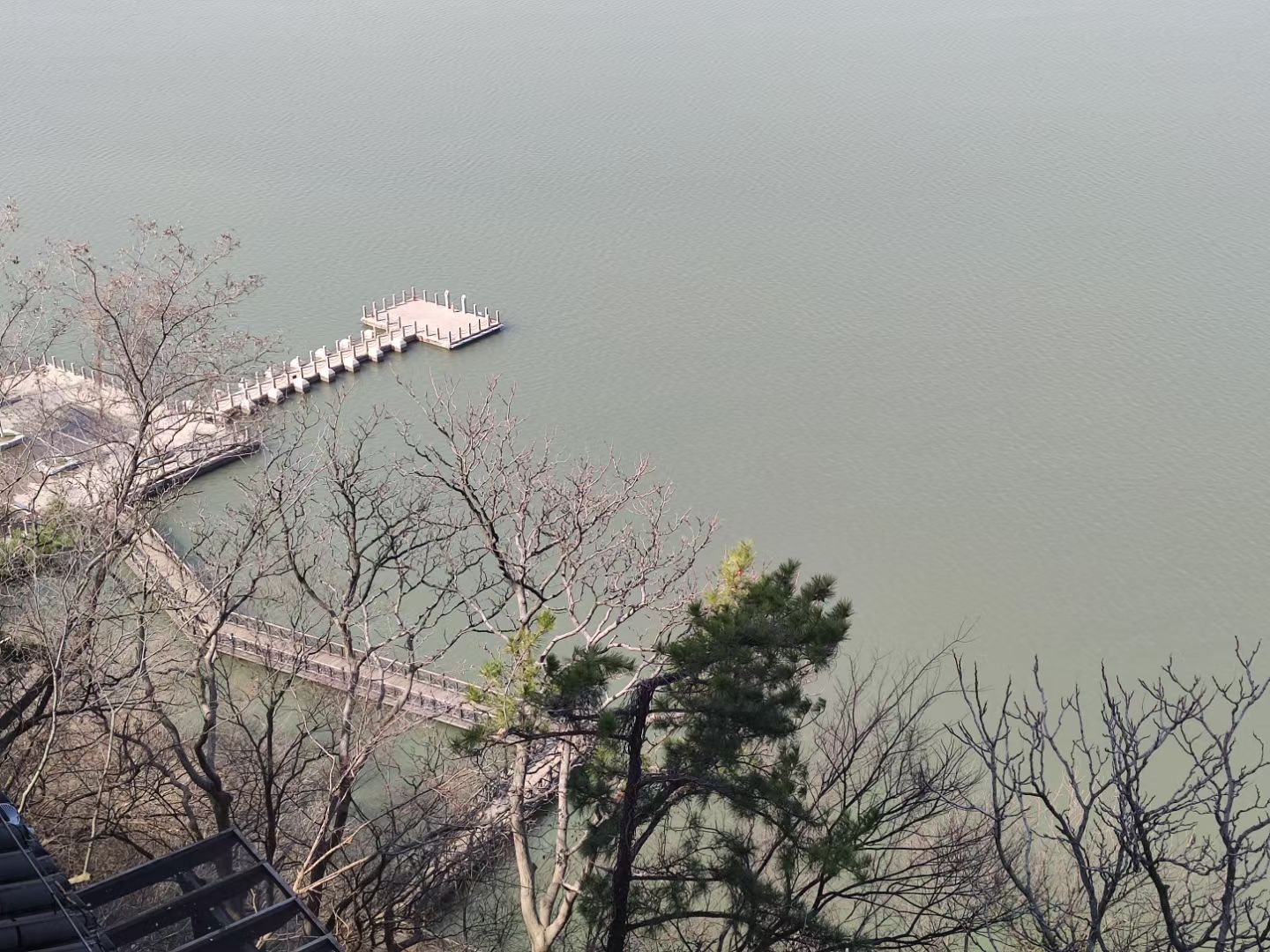 滨江公园音乐广场旅行图片 3