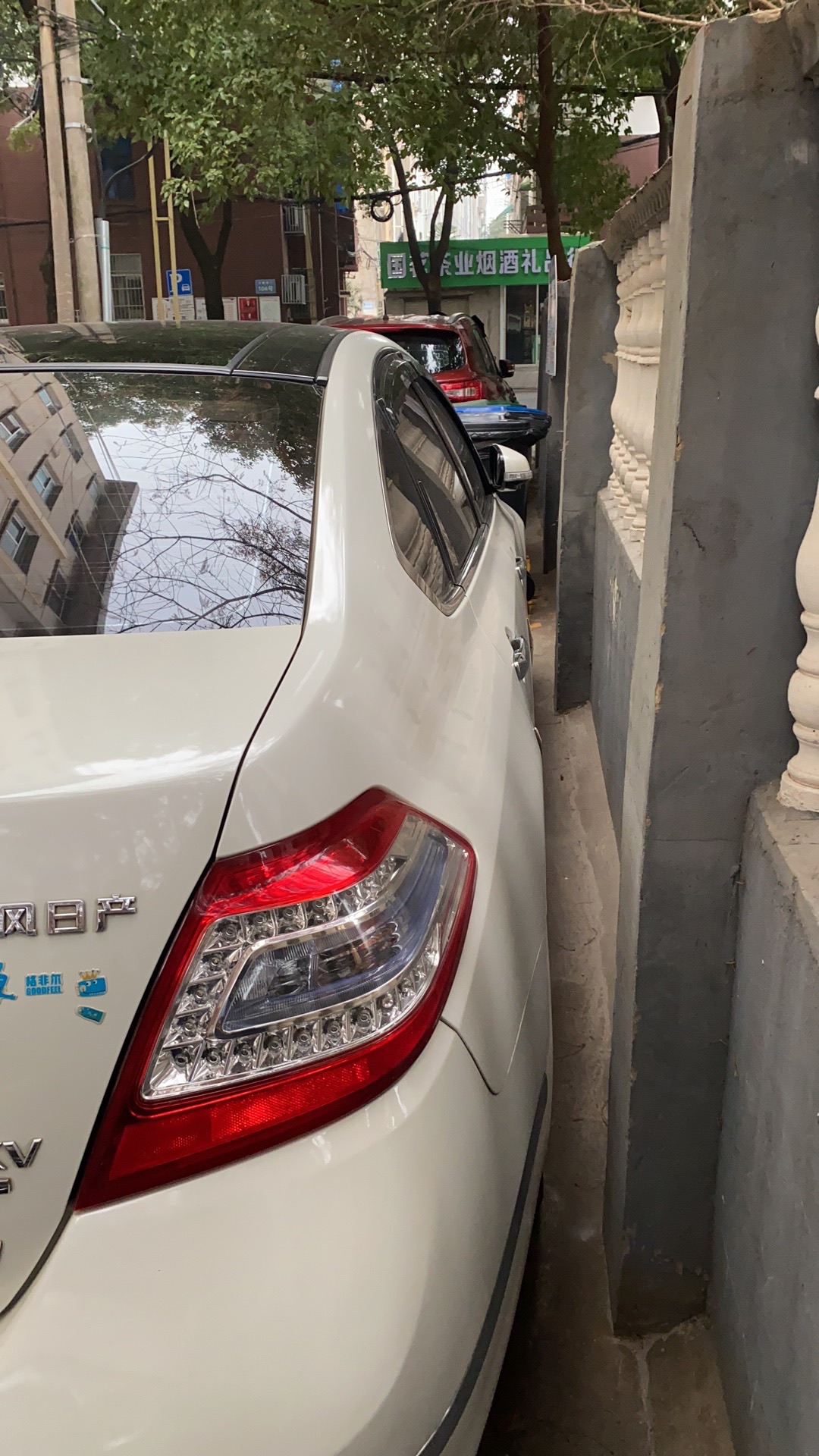 滨江公园音乐广场旅行图片 2