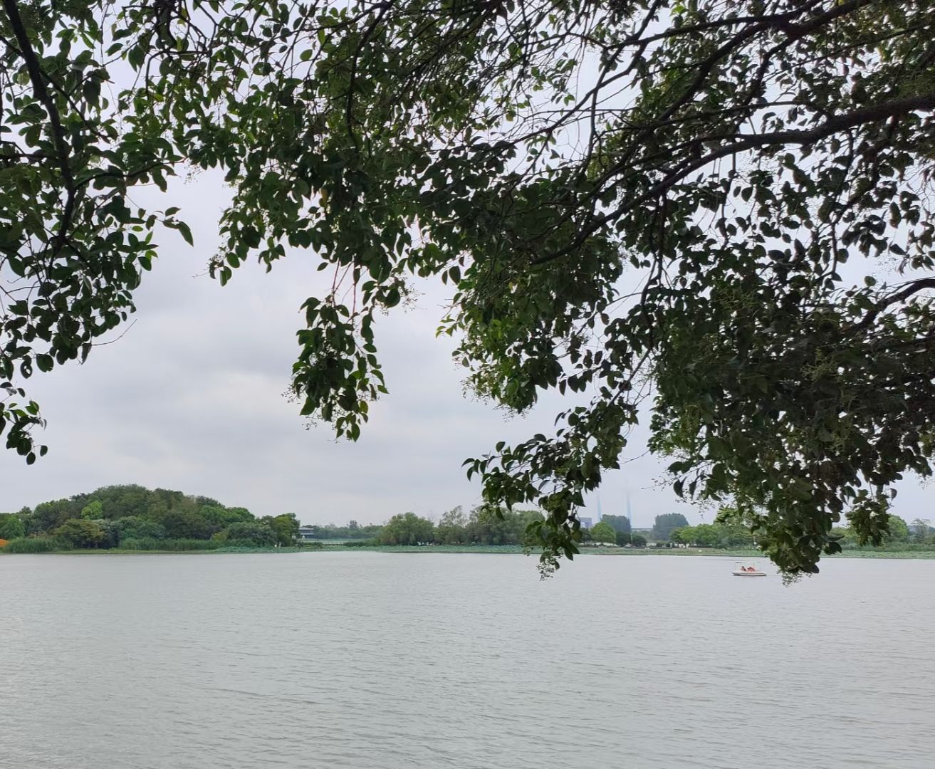 滨江公园音乐广场旅行图片 2