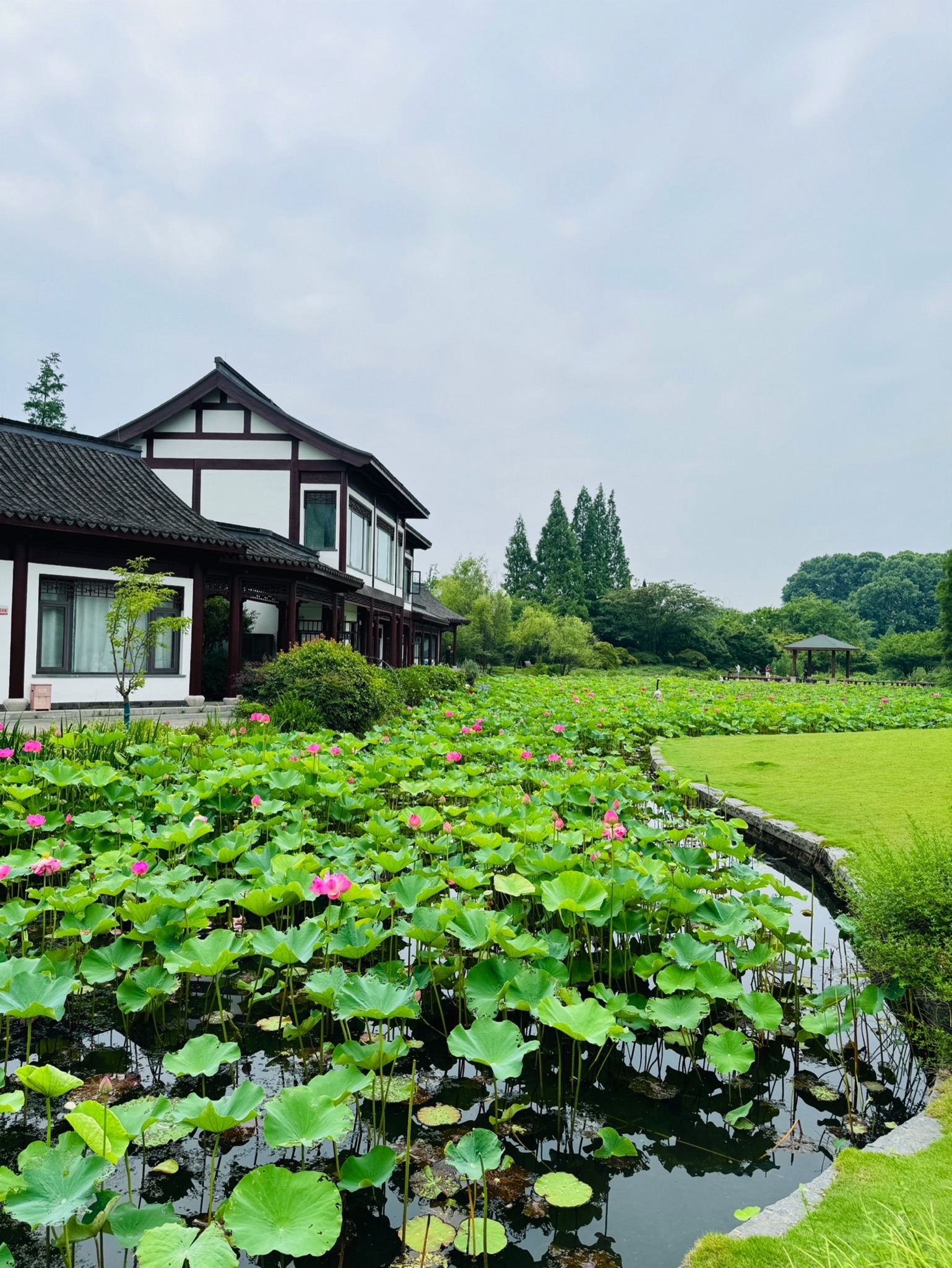 焦山景区-鹤园