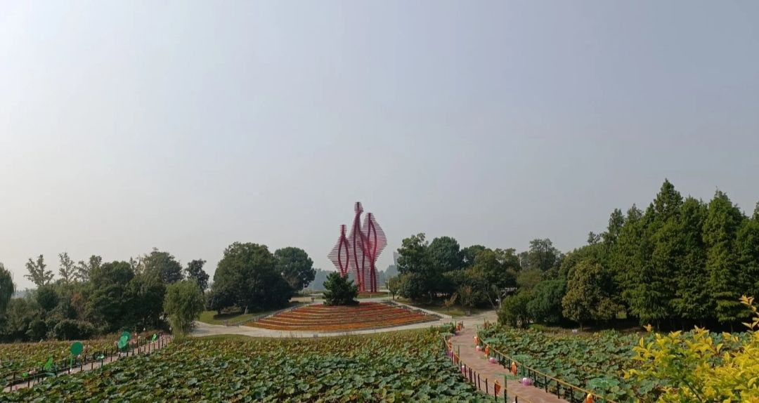 扬中园博园旅行图片 1