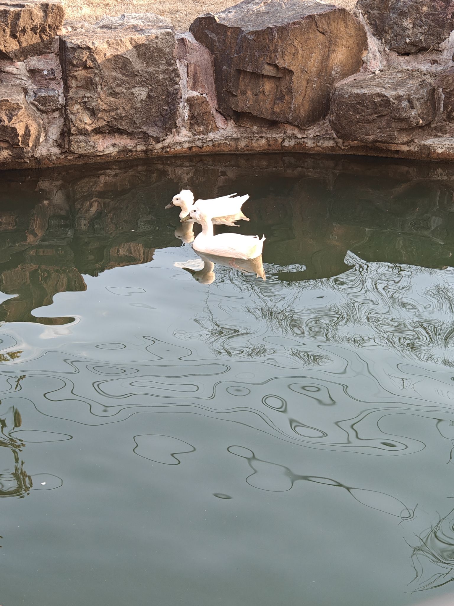 扬中园博园旅行图片 3