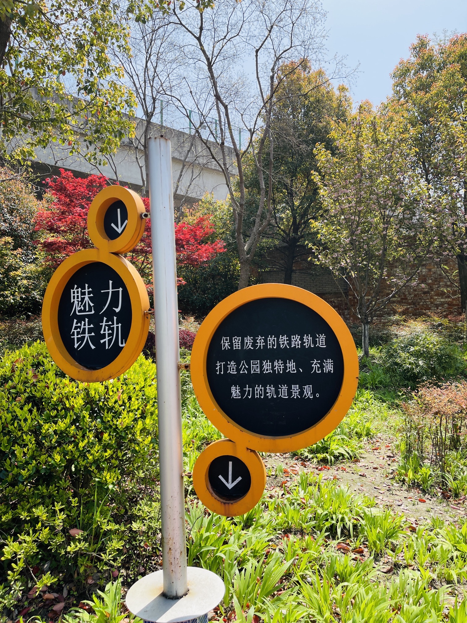 合兴公园旅行图片 3