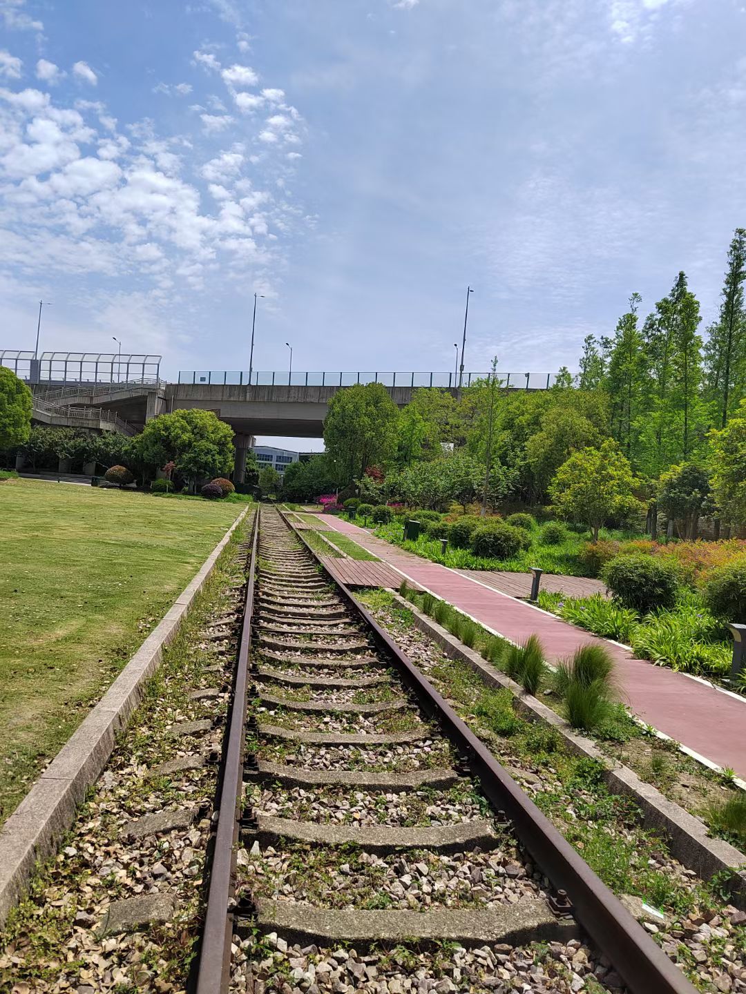 合兴公园旅行图片 2