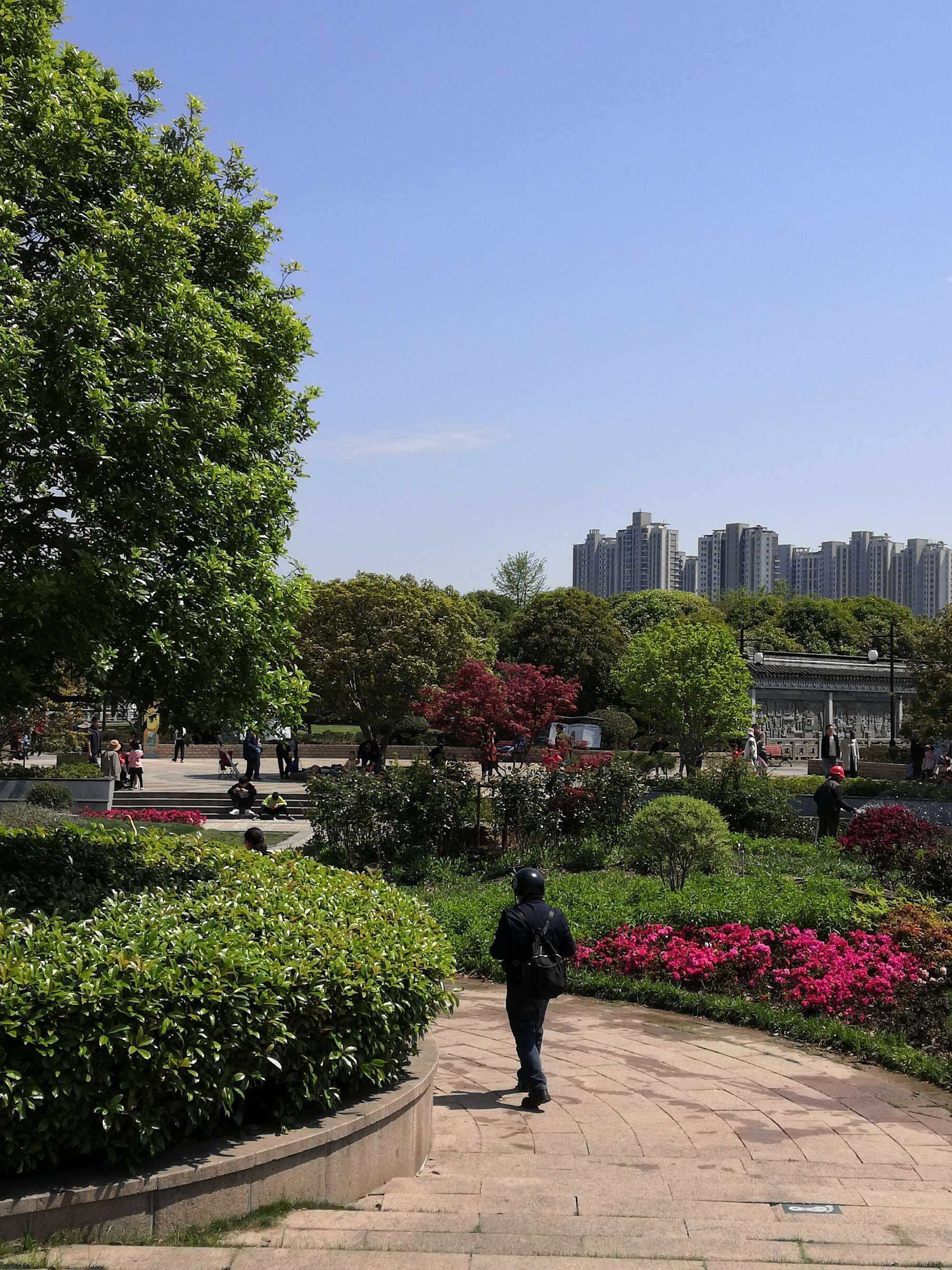 苏州市桂花公园旅行图片 3