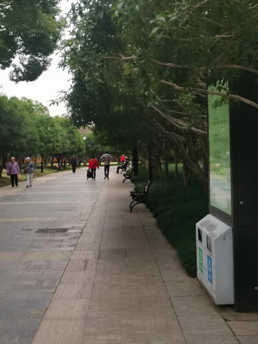 苏州市桂花公园旅行图片 2