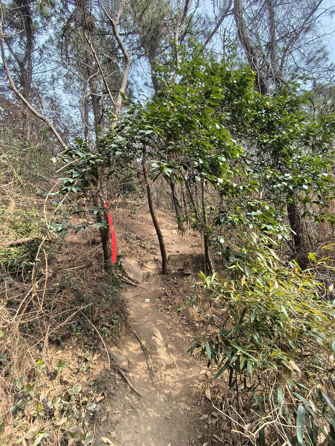 西山风景区旅行图片 3