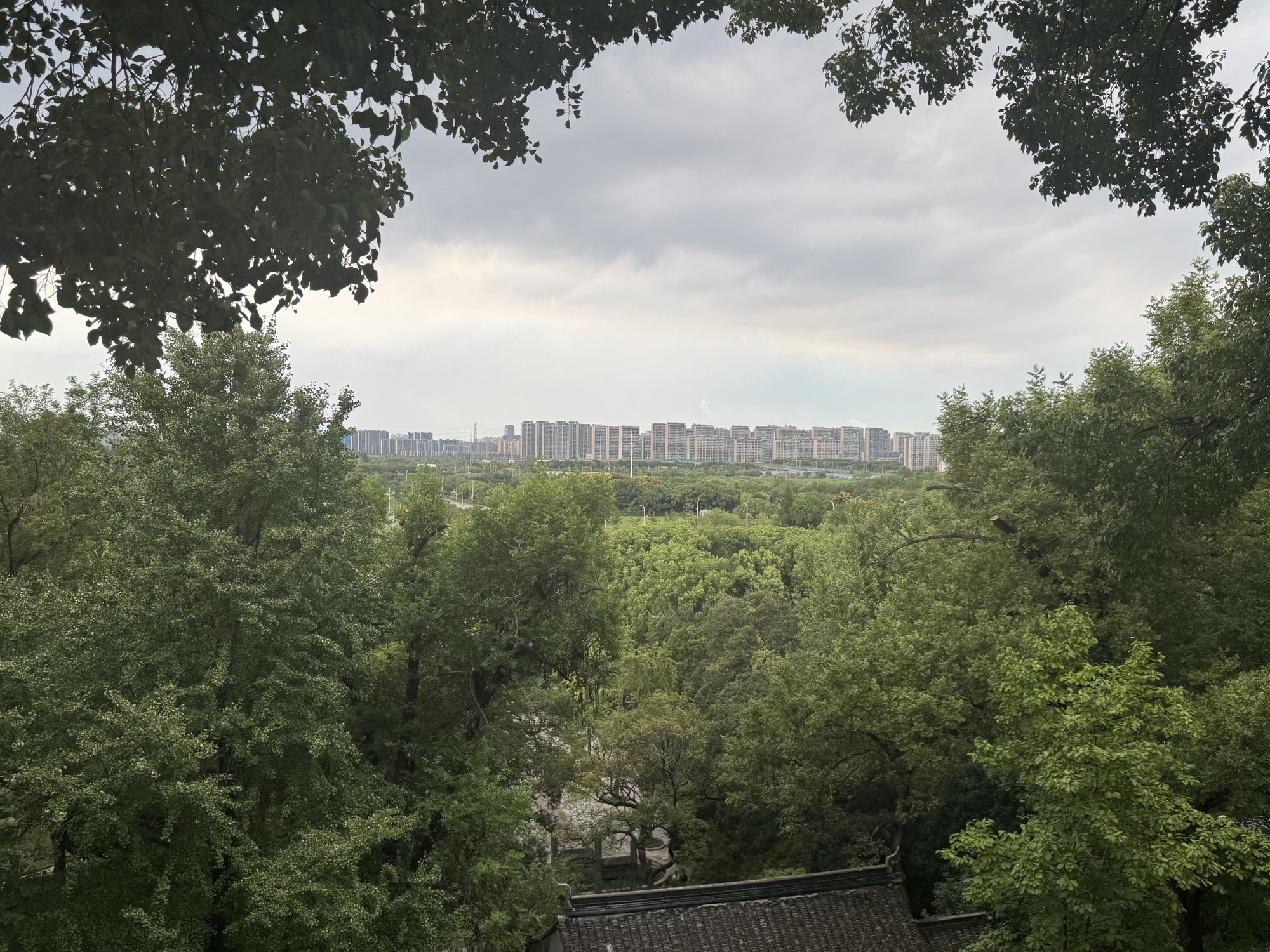虎丘山风景区旅行图片 1