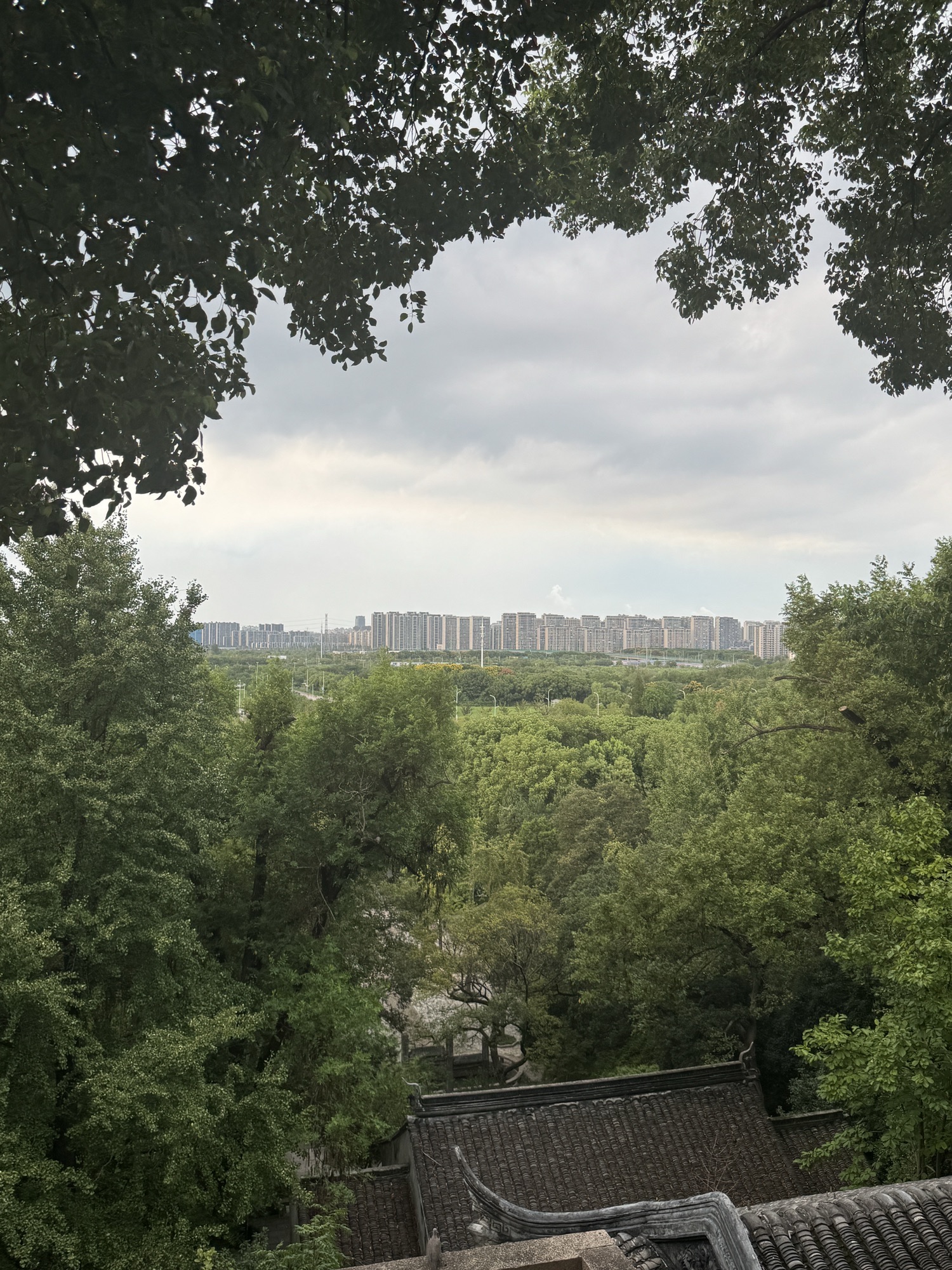 虎丘山风景区旅行图片 3