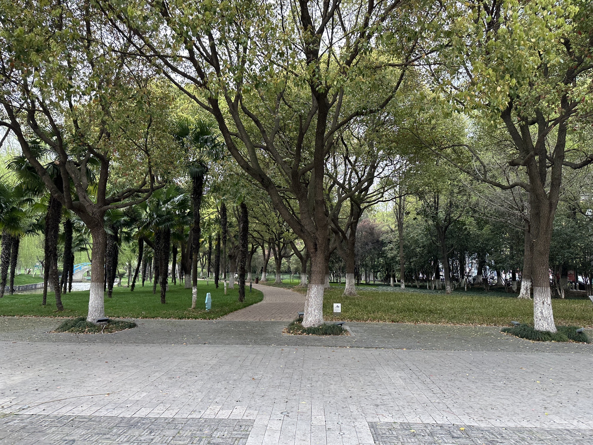 中央公园旅行图片 2