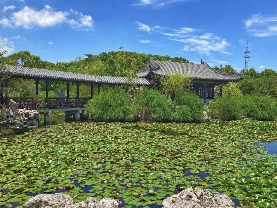 聚沙园旅行图片 1