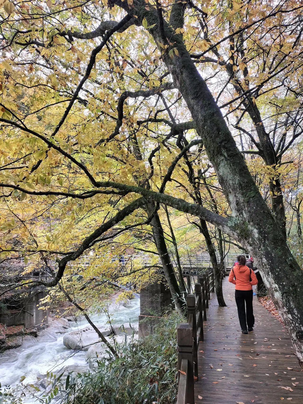 聚沙园旅行图片 2