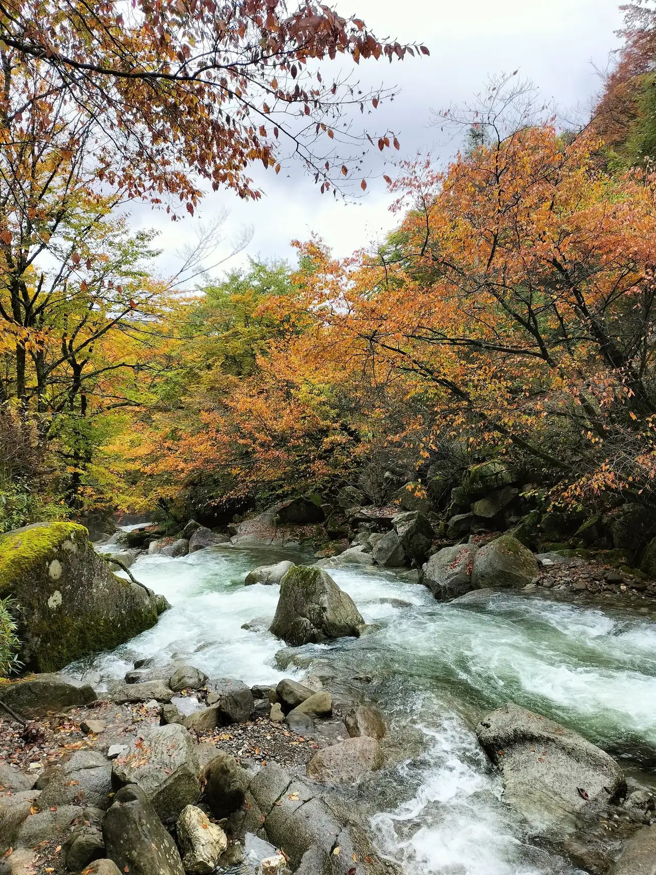 聚沙园旅行图片 1