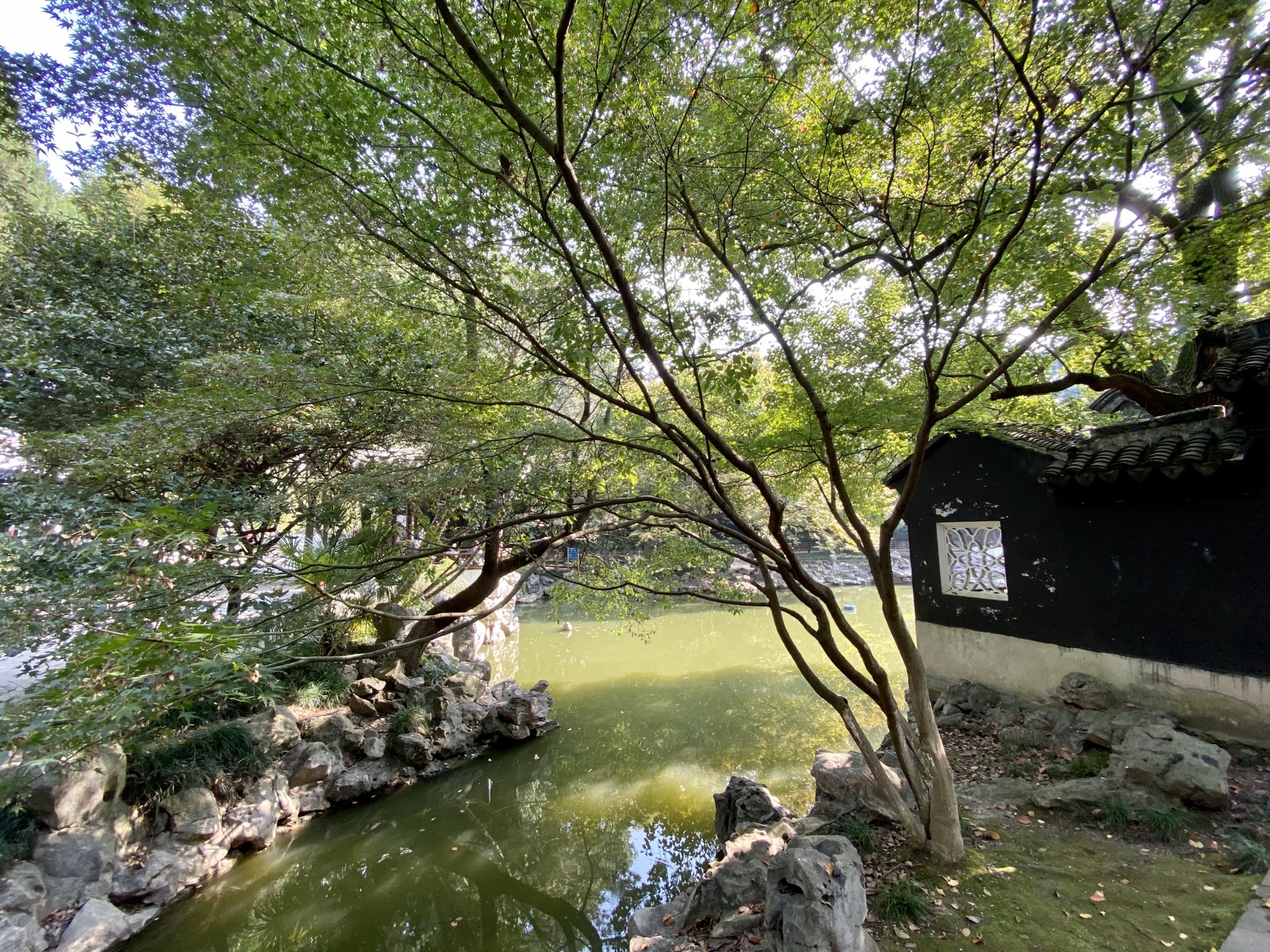 松陵公园旅行图片 1