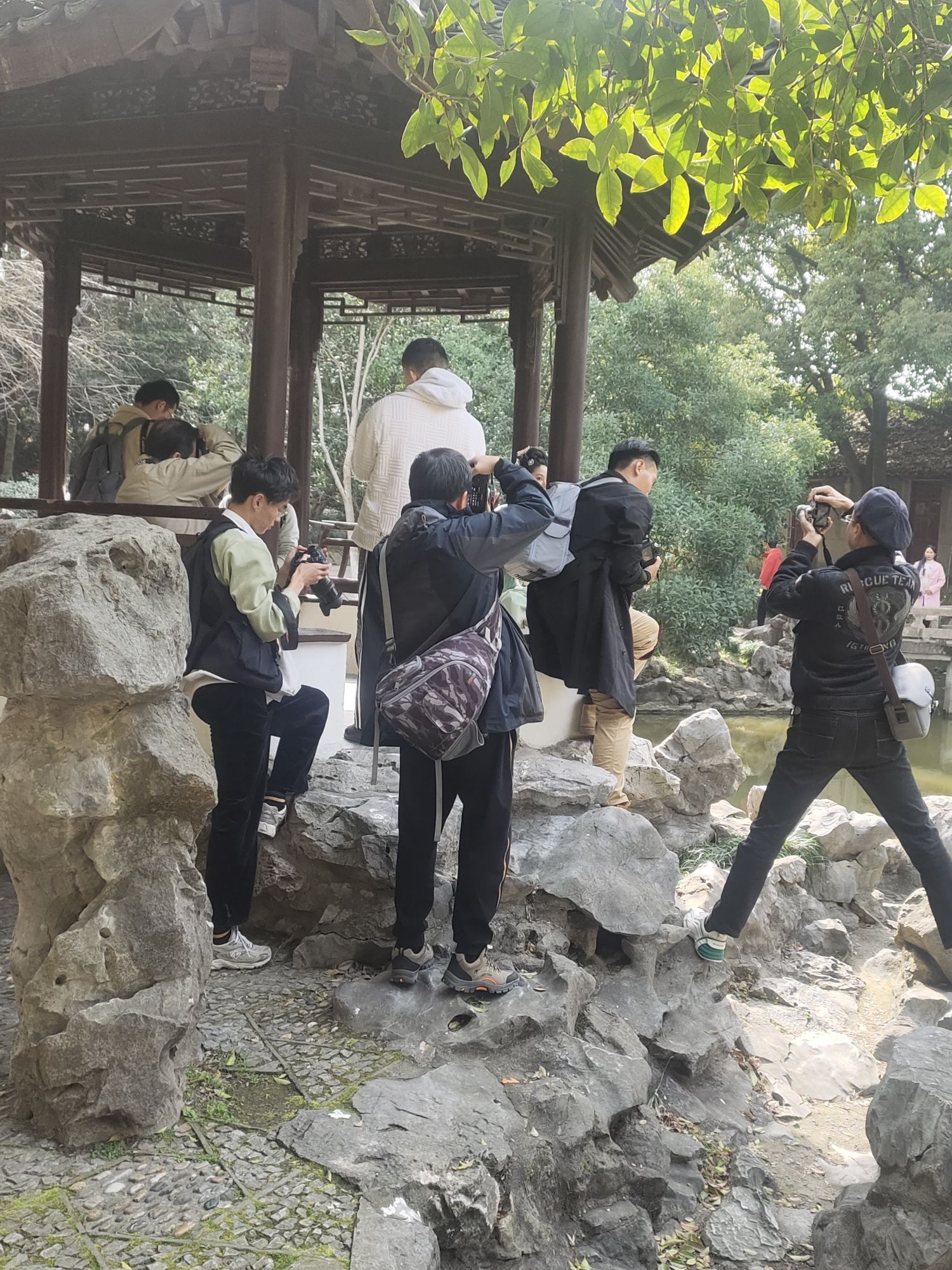 松陵公园旅行图片 1