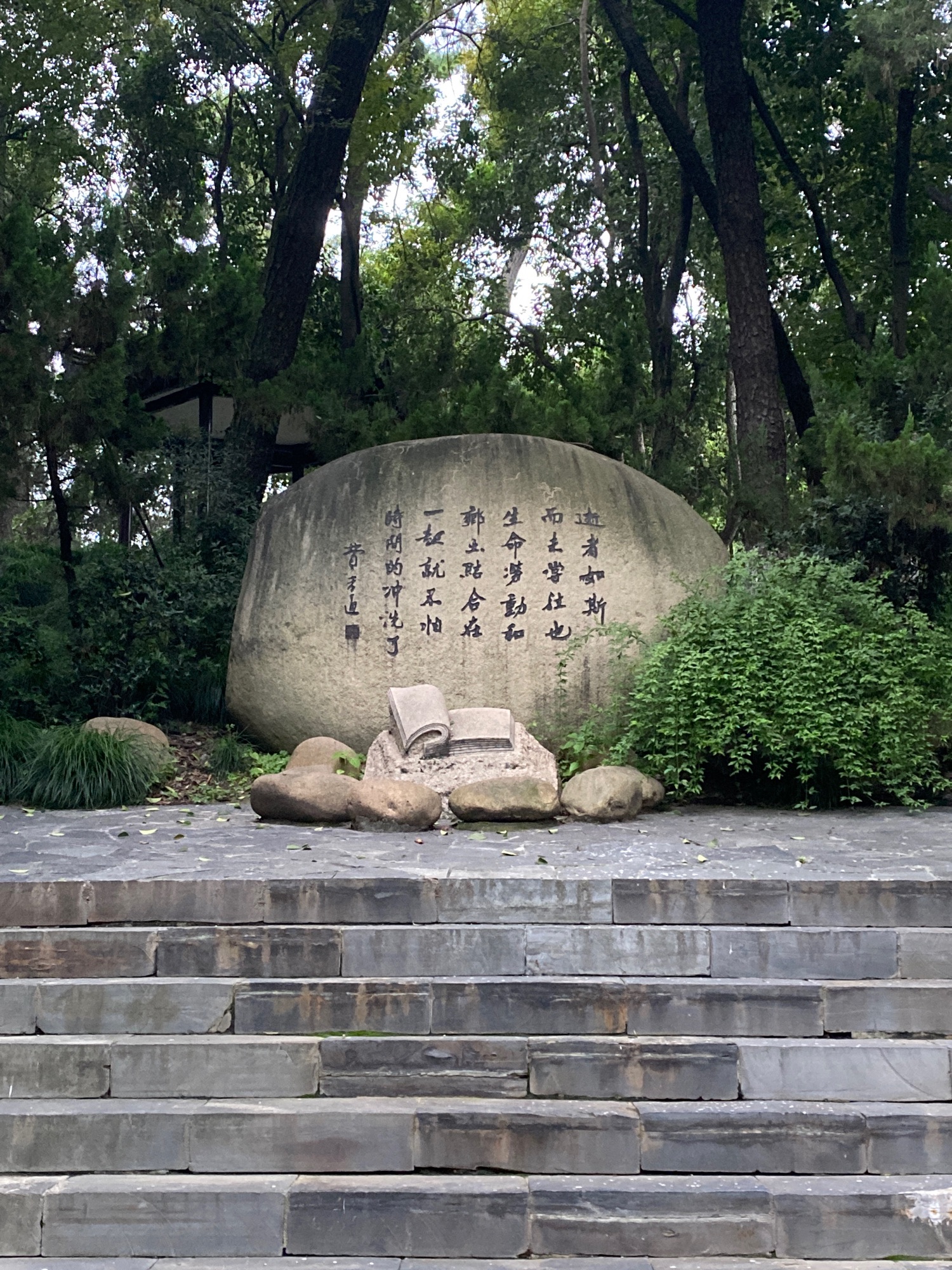 松陵公园旅行图片 3