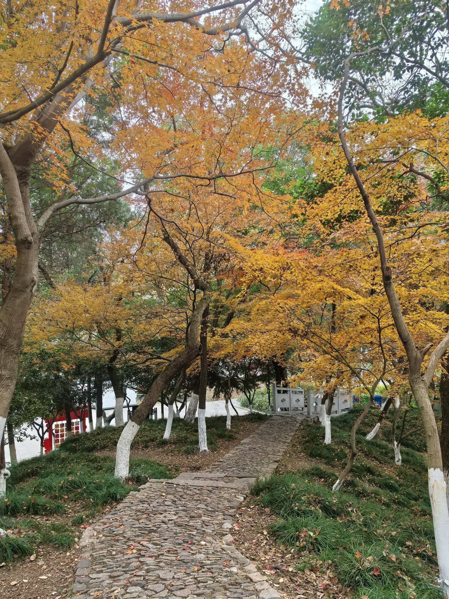 松陵公园旅行图片 2