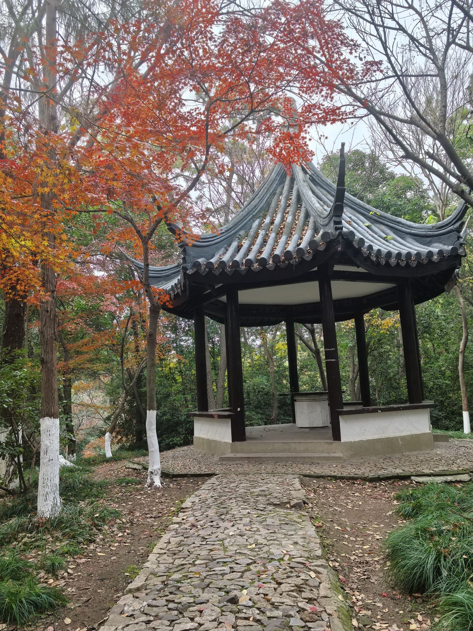 松陵公园旅行图片 1