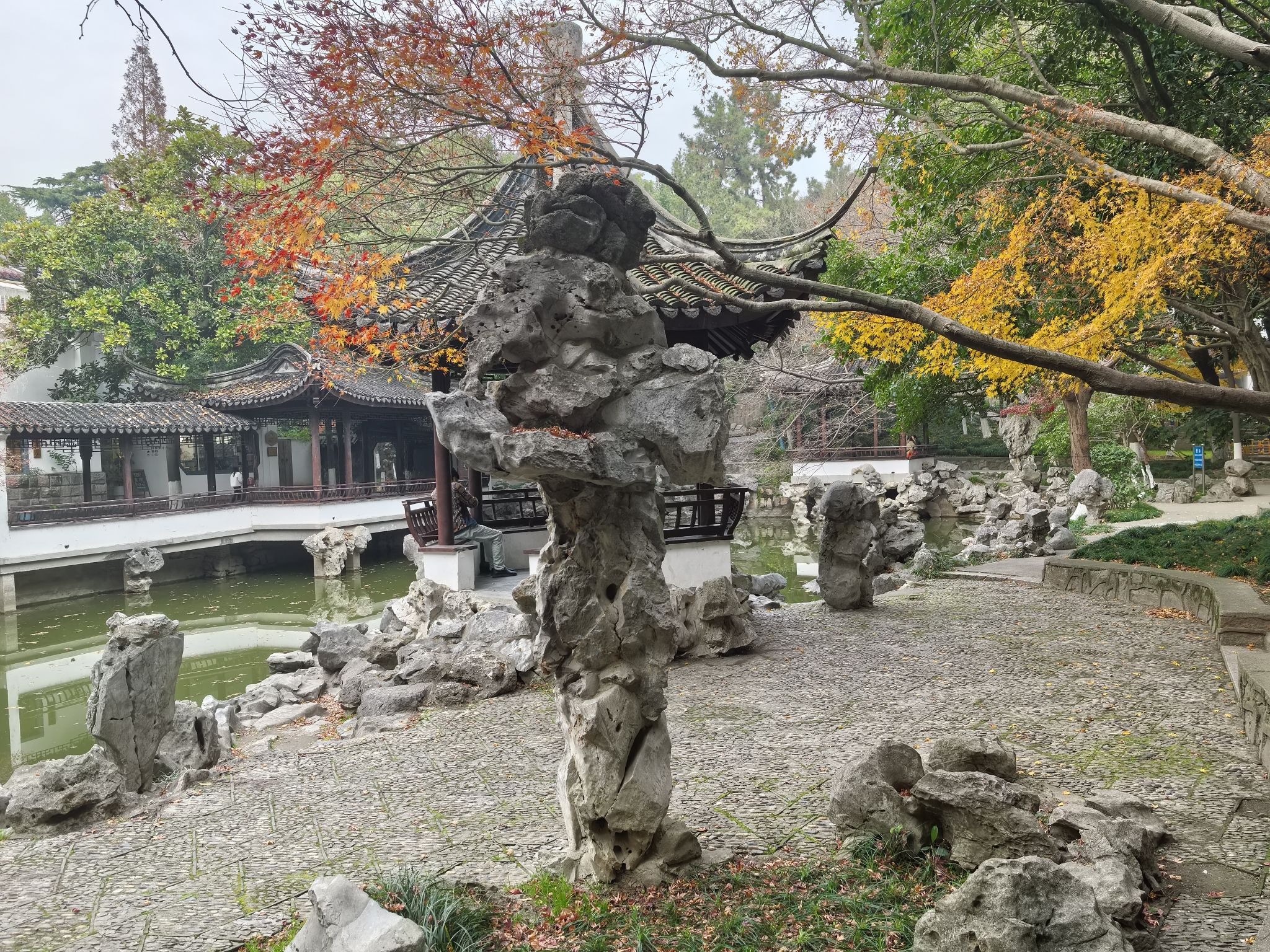 松陵公园旅行图片 3